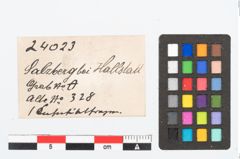 Etikett zu Bronzekahnfibel (NHMW-PRAE-024023)